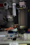 Laboratoire de recherche sur les effets des radionucléides sur les écosystèmes