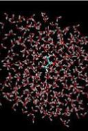 IRSN-laboratoire_Letr_transferts de radioélements