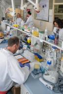 IRSN_Laboratoire de radiobiologie des expositions accidentelles LRACC